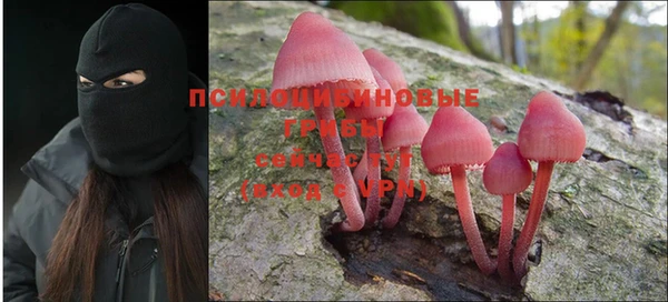амфетамин Алексеевка