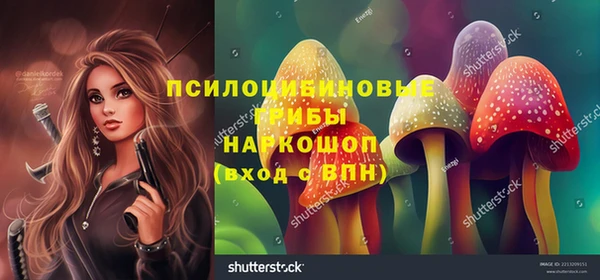 дурь Алексин